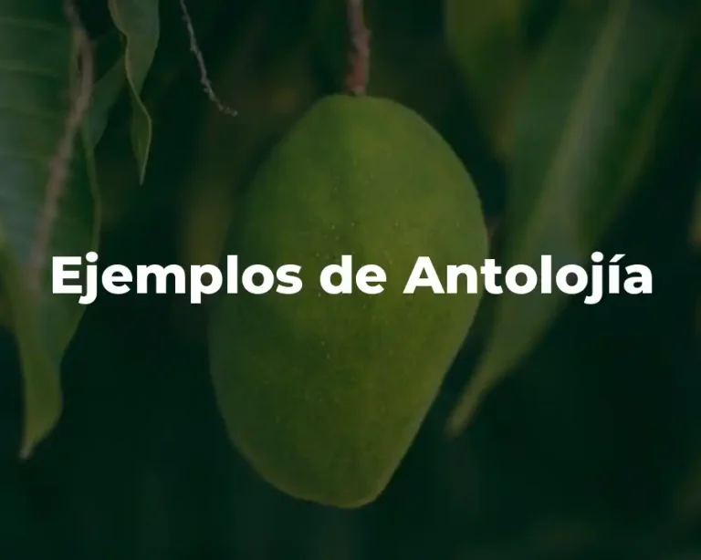 Ejemplos de Antolojía