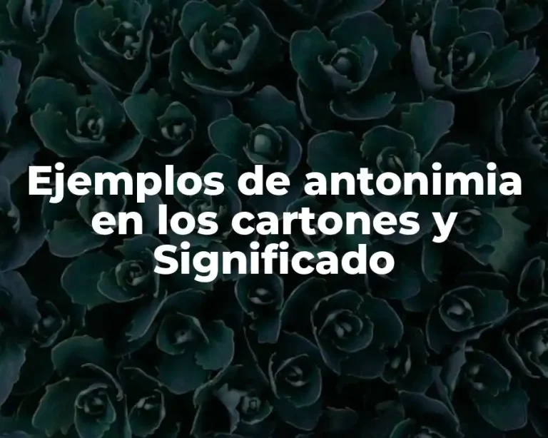 Ejemplos de antonimia en los cartones y Significado