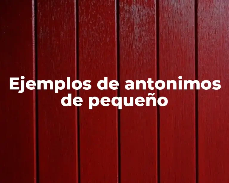 Ejemplos de antonimos de pequeño