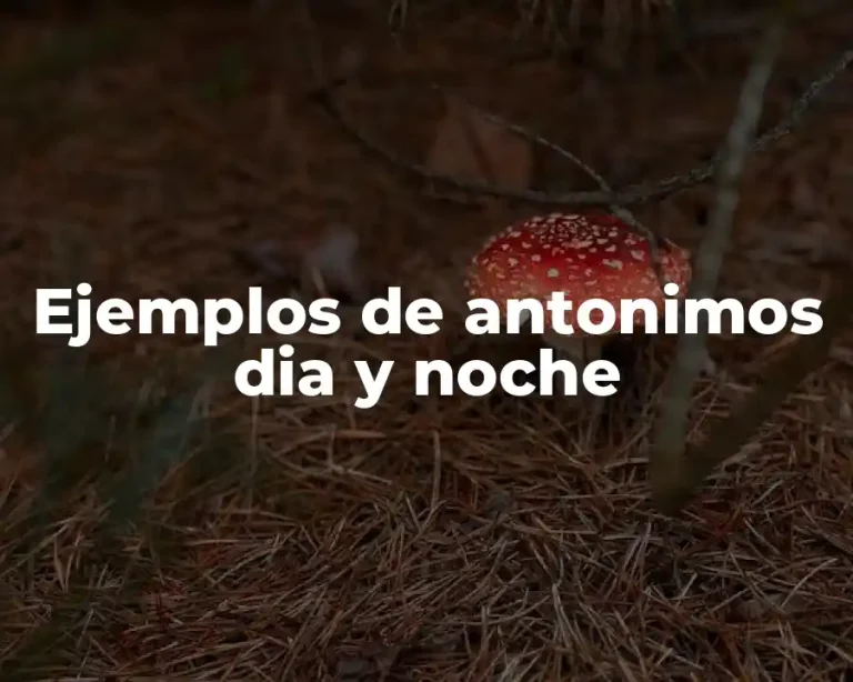 Ejemplos de antonimos dia y noche