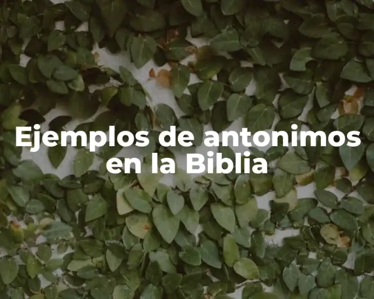 Ejemplos de antonimos en la Biblia