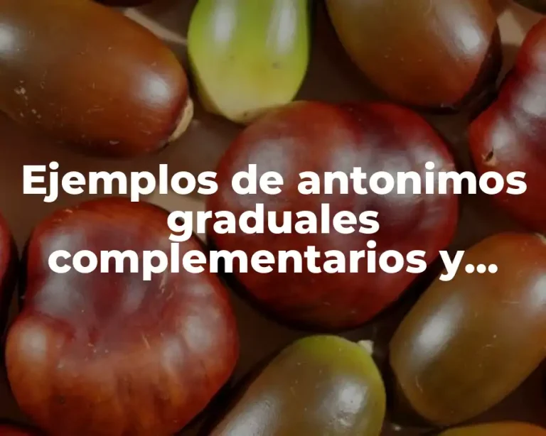 Ejemplos de antonimos graduales complementarios y reciprocos y Significado