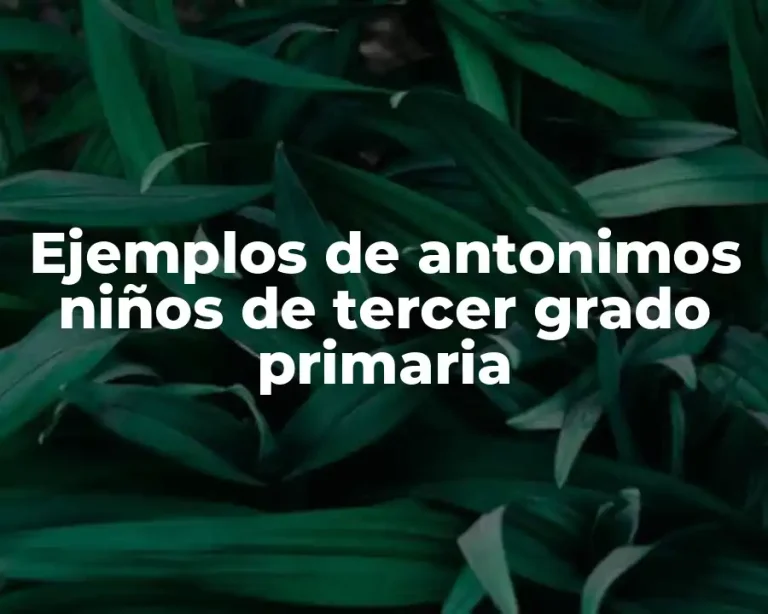 Ejemplos de antonimos niños de tercer grado primaria