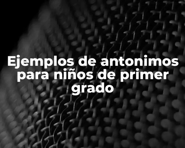 Ejemplos de antonimos para niños de primer grado