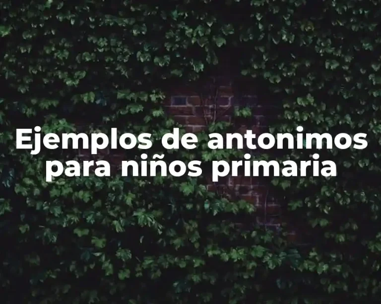 Ejemplos de antonimos para niños primaria