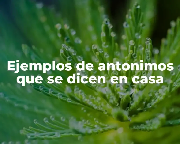 Ejemplos de antonimos que se dicen en casa