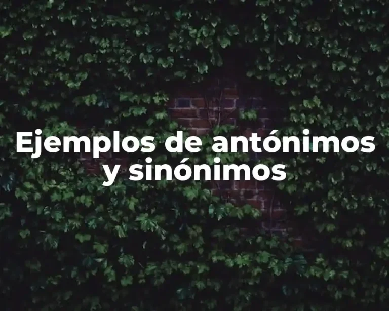 Ejemplos de antónimos y sinónimos