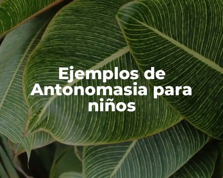 Ejemplos de Antonomasia para niños