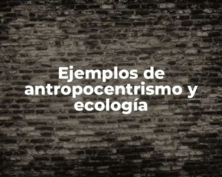 Ejemplos de antropocentrismo y ecología