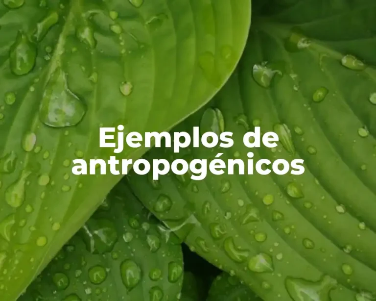 Ejemplos de antropogénicos