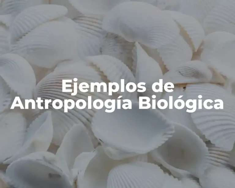 Ejemplos de Antropología Biológica
