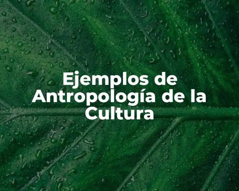 Ejemplos de Antropología de la Cultura