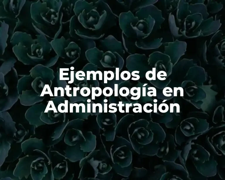 Ejemplos de Antropología en Administración