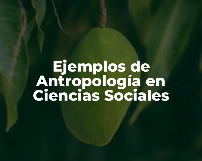 Ejemplos de Antropología en Ciencias Sociales