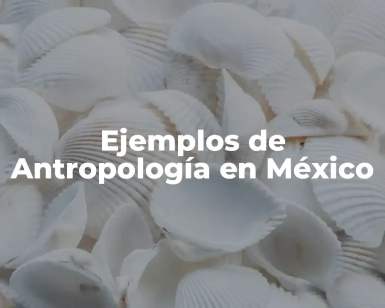 Ejemplos de Antropología en México
