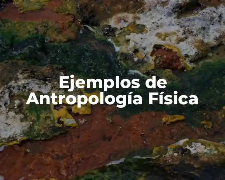 Ejemplos de Antropología Física