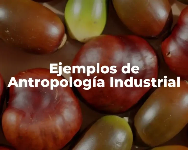 Ejemplos de Antropología Industrial