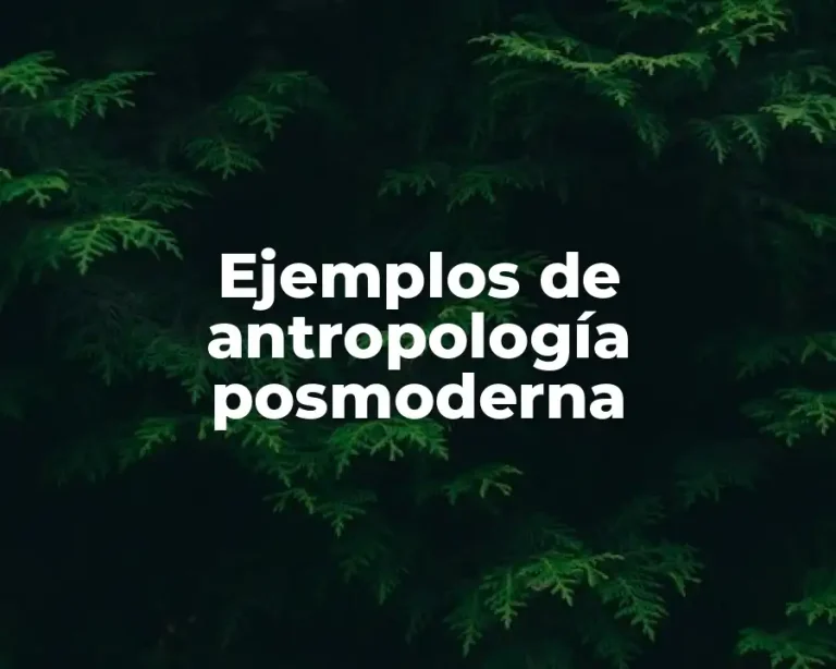Ejemplos de antropología posmoderna