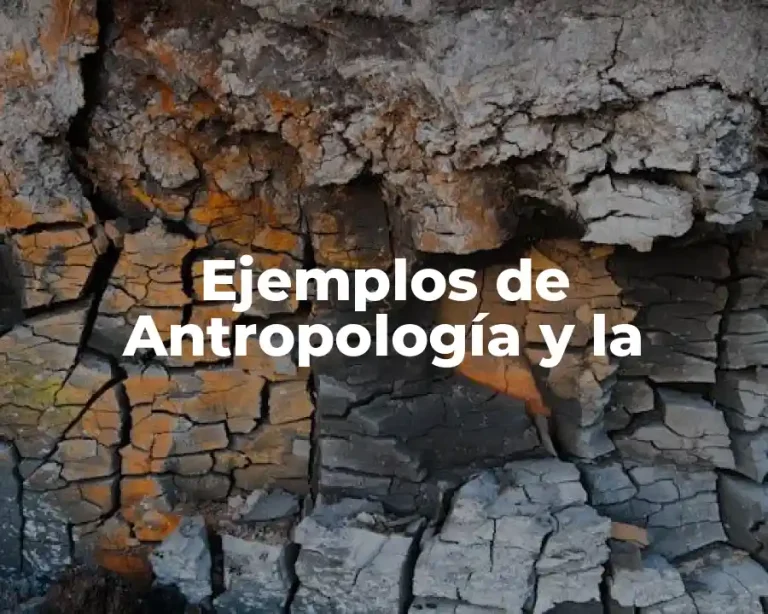 Ejemplos de Antropología y la
