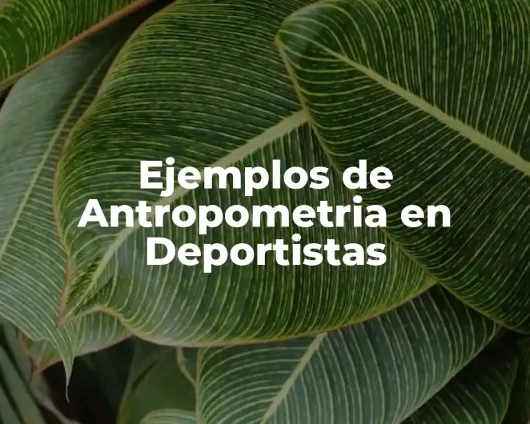Ejemplos de Antropometria en Deportistas