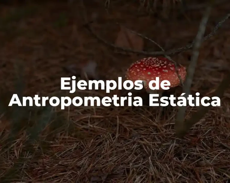 Ejemplos de Antropometria Estática