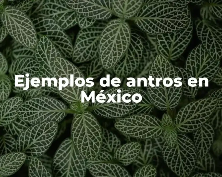 Ejemplos de antros en México