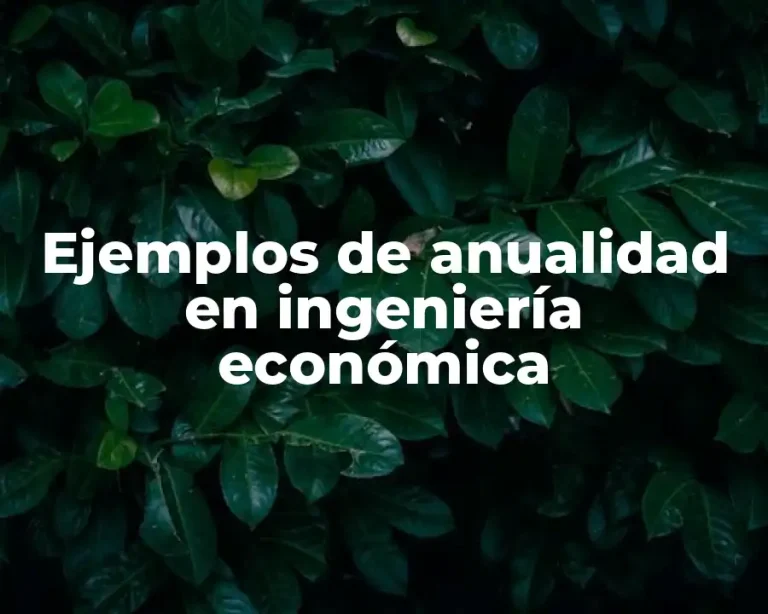 Ejemplos de anualidad en ingeniería económica