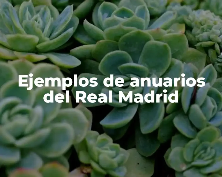 Ejemplos de anuarios del Real Madrid