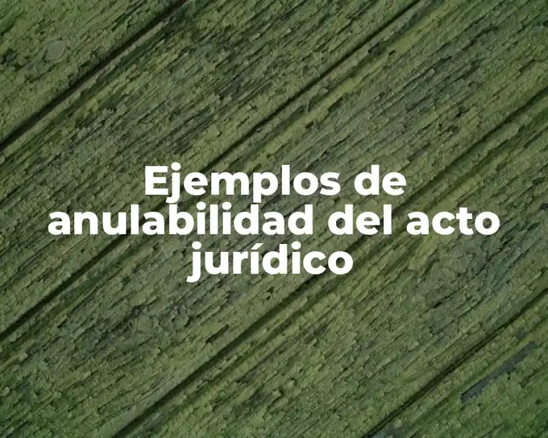 Ejemplos de anulabilidad del acto jurídico