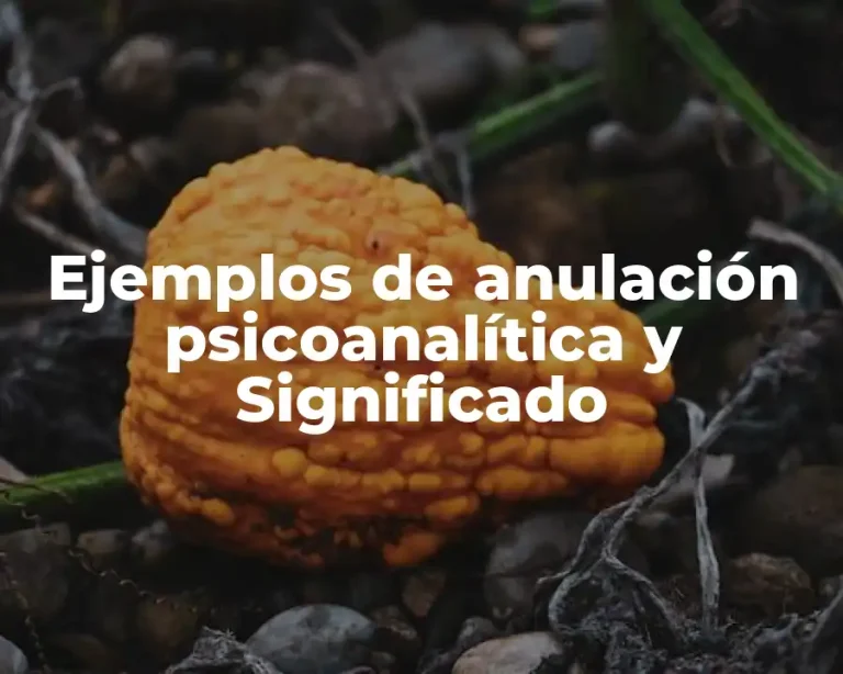 Ejemplos de anulación psicoanalítica y Significado
