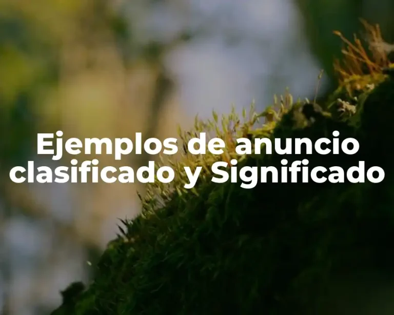 Ejemplos de anuncio clasificado y Significado
