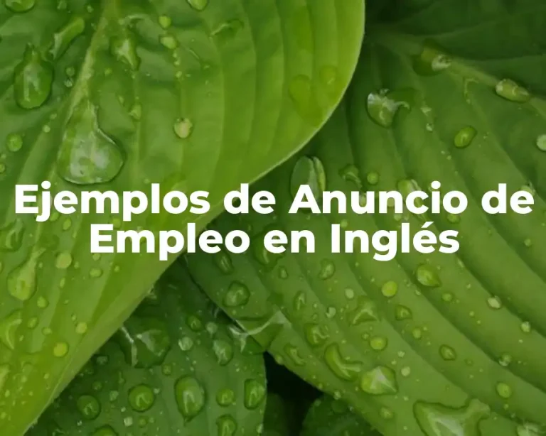 Ejemplos de Anuncio de Empleo en Inglés