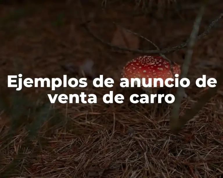 Ejemplos de anuncio de venta de carro