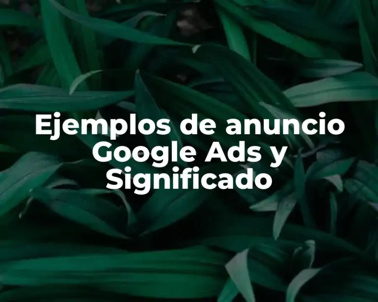 Ejemplos de anuncio Google Ads y Significado
