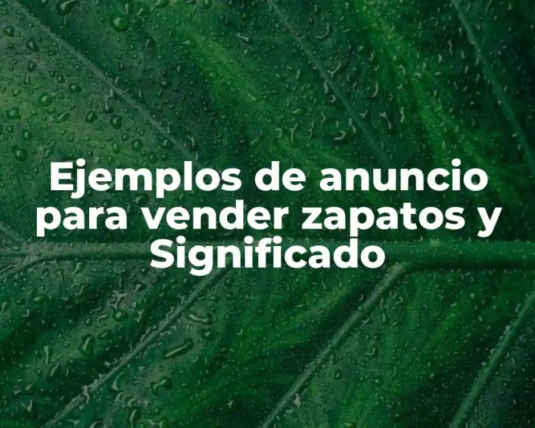 Ejemplos de anuncio para vender zapatos y Significado