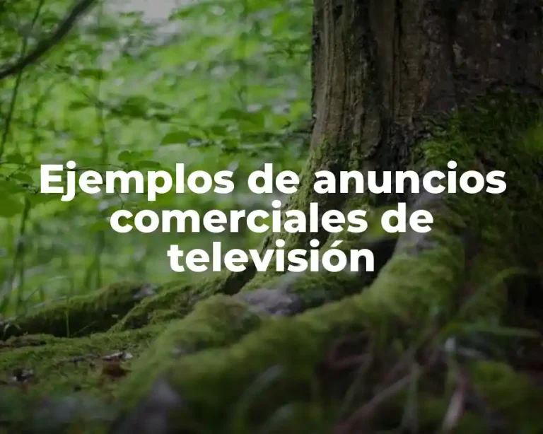 Ejemplos de anuncios comerciales de televisión