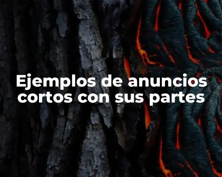 Ejemplos de anuncios cortos con sus partes