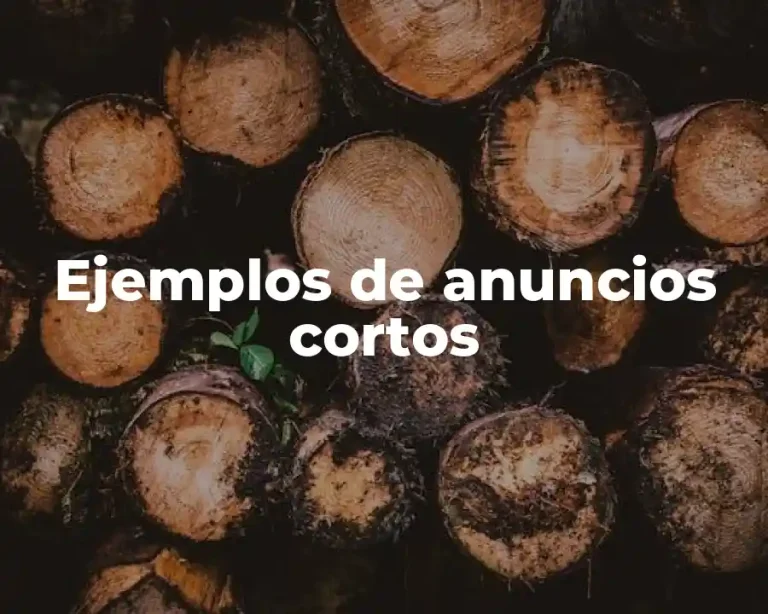 Ejemplos de anuncios cortos