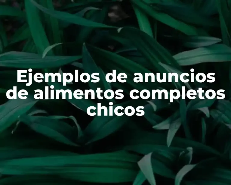 Ejemplos de anuncios de alimentos completos chicos