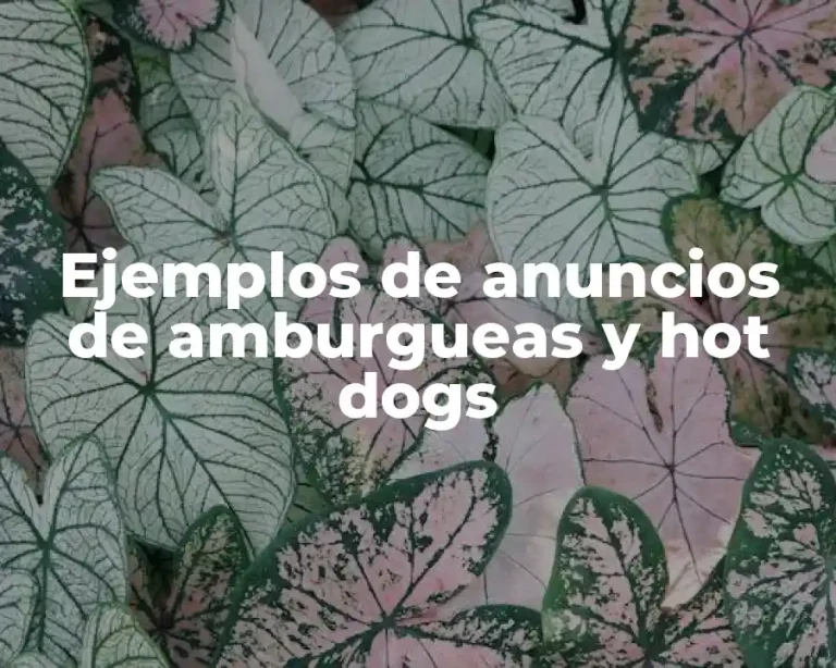 Ejemplos de anuncios de amburgueas y hot dogs