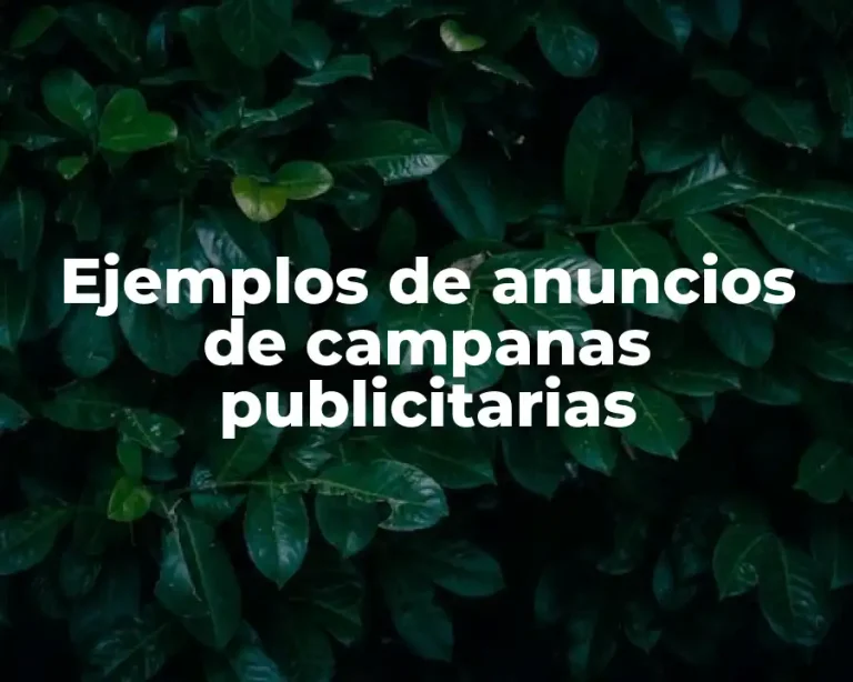 Ejemplos de anuncios de campanas publicitarias