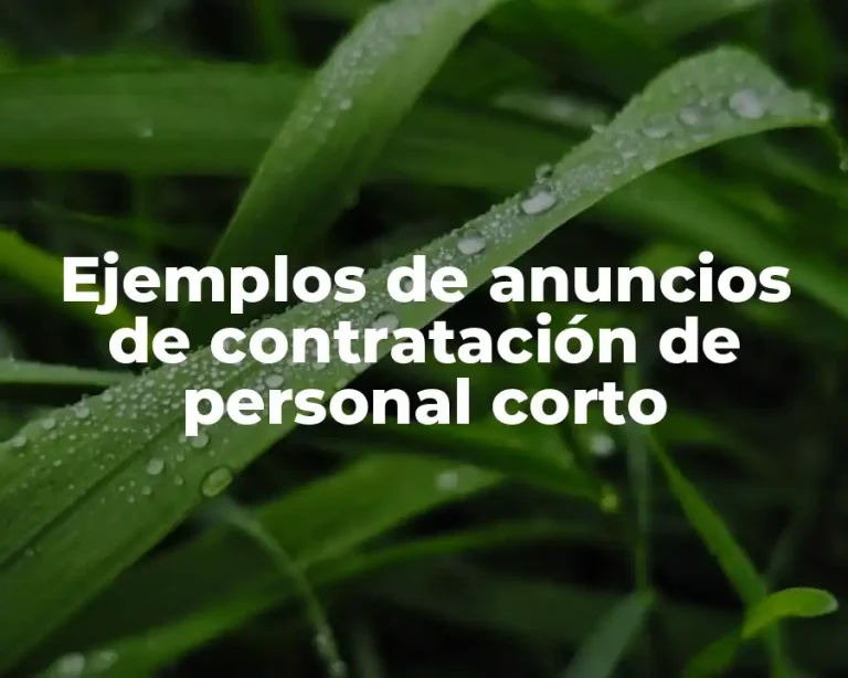 Ejemplos de anuncios de contratación de personal corto