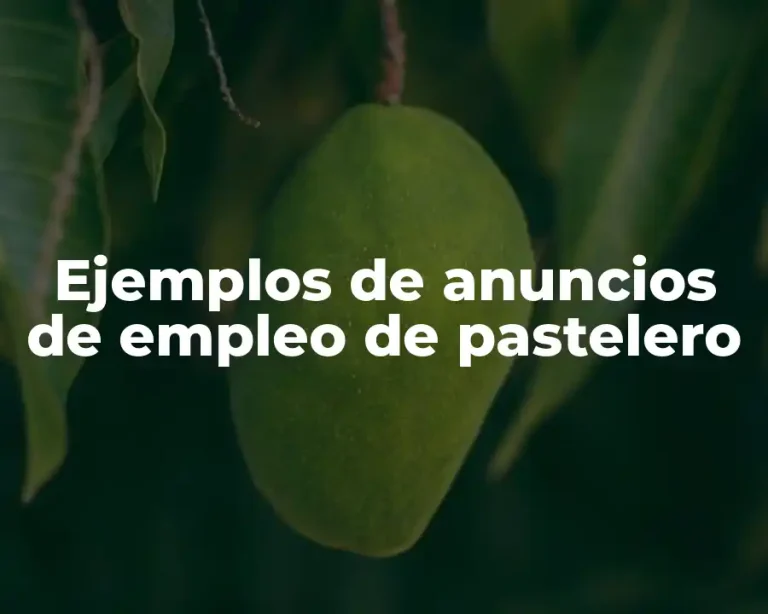 Ejemplos de anuncios de empleo de pastelero