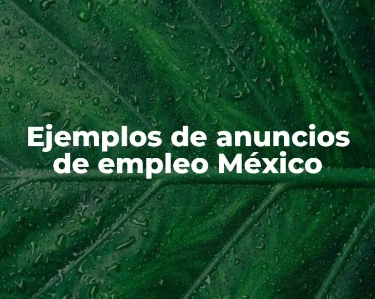Ejemplos de anuncios de empleo México
