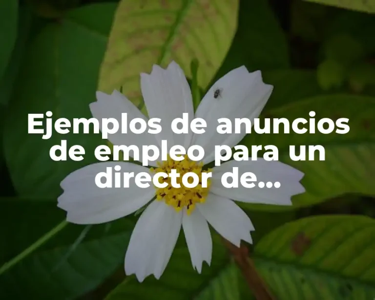Ejemplos de anuncios de empleo para un director de mercadotecnia