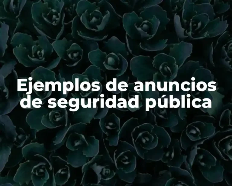 Ejemplos de anuncios de seguridad pública
