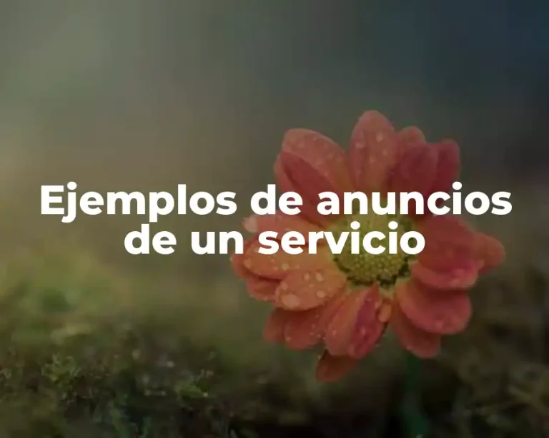 Ejemplos de anuncios de un servicio