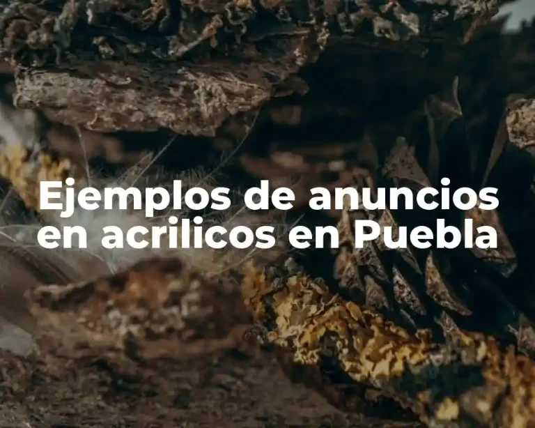 Ejemplos de anuncios en acrilicos en Puebla