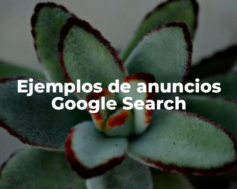 Ejemplos de anuncios Google Search
