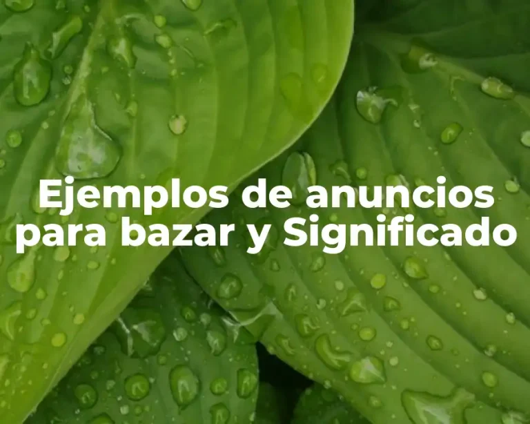 Ejemplos de anuncios para bazar y Significado
